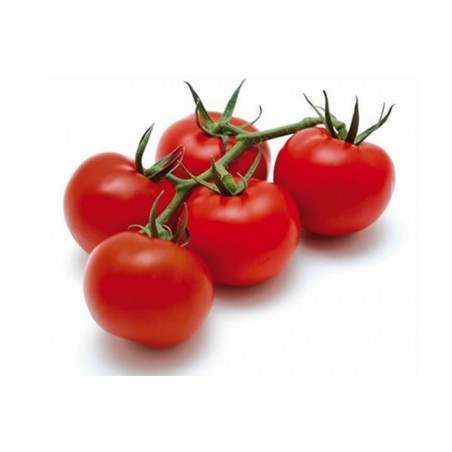 Price: €2.25 - Seme Paradajza GRAPPOLO -