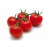 Price: €2.25 - Seme Paradajza GRAPPOLO - 