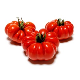 Tomato seeds Large beefsteak Costoluto Fiorentino - 1.8