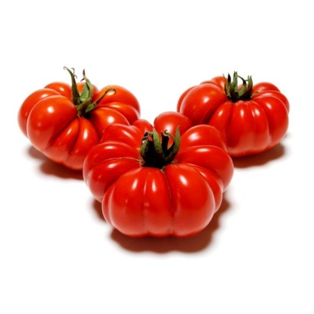 Sementes de tomate beefsteak Costoluto Fiorentino