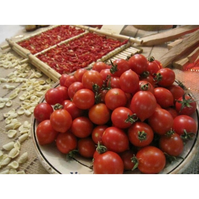 Price: €1.95 - Σπόροι ντομάτας Fiaschetto - 