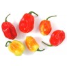 Habanero Tobago Seasoning Chili Samen