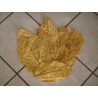 Latakia Orient Tobacco Seeds | 1.95 €
