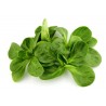 Price: €1.55 - Corn Salad Seeds D'OLANDA A SEME GROSSO - 