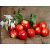 Price: €250 - Tomate Litchi 5000 Semillas - Espina Colorada - Seeds Gallery