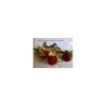 Litchi ντομάτας 1000 σπόρων