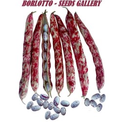 Sorter från Italien