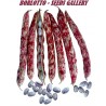 Price: €1.95 - Graines de haricot nain Borlotto Lingua Di Fuoco - 
