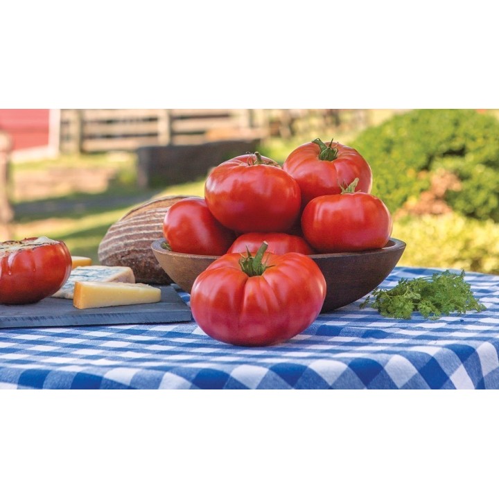 MARMANDE Beefsteak Tomato Seeds - 1.575