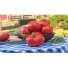 Sementes de Tomate MARMANDE Beefsteak