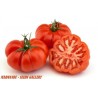 Sementes de Tomate MARMANDE Beefsteak