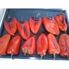 Price: €17 - 1100+ Samen Riesenpaprika Elefantenohr - 