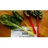 Swiss Chard Rainbow Seeds