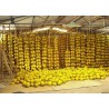 Price: €2.15 - Graines de Turquie Melon DALAMAN - 