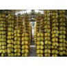 Price: €2.15 - Semillas de Turquía Melón DALAMAN - 