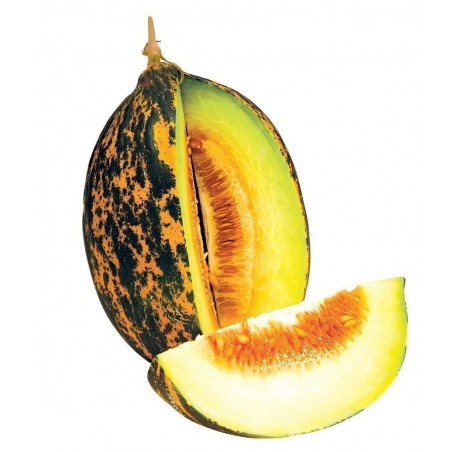 Price: €2.15 - Dalaman Melone frische Samen - 