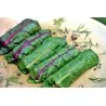 Swiss Chard Rainbow Seeds
