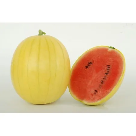 Gul Hud Vattenmelon Frön