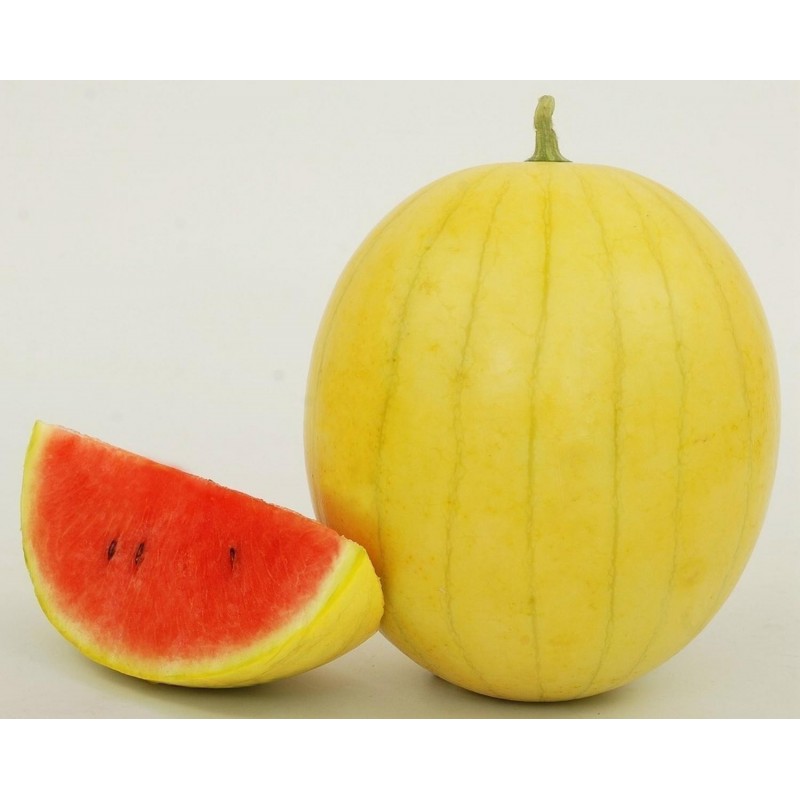 Price: €2.5 - Yellow Skin Watermelon Seeds - 