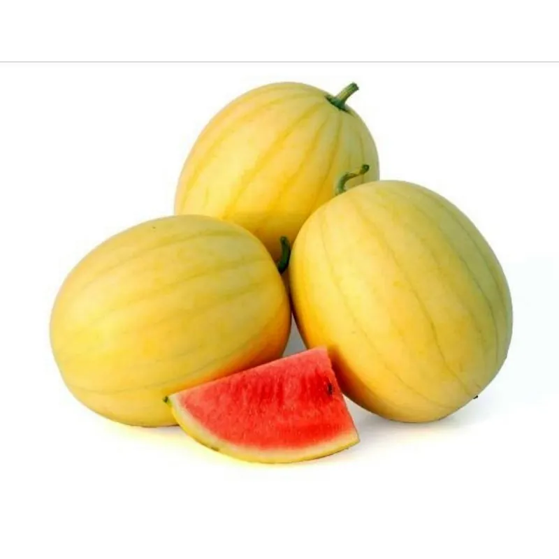 Gul Hud Vattenmelon Frön