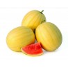 Price: €2.5 - Yellow Skin Watermelon Seeds - 