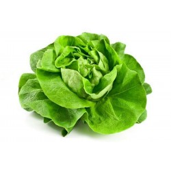 Price: €1.95 - Semi di Lattuga May Queen - 
