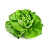 Price: €1.95 - Lettuce Seeds May Queen - 