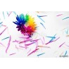 Price: €2.5 - Rainbow Chrisanthemum Seeds - 
