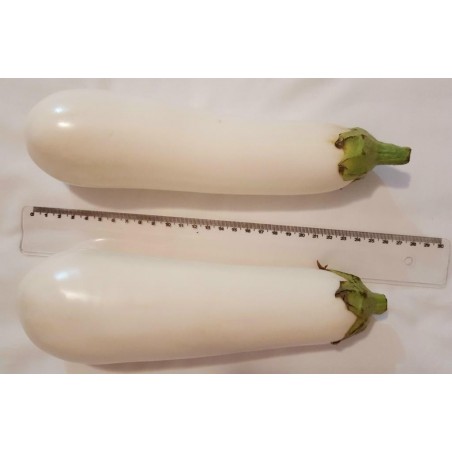 Price: €1.85 - White Eggplant Seeds -