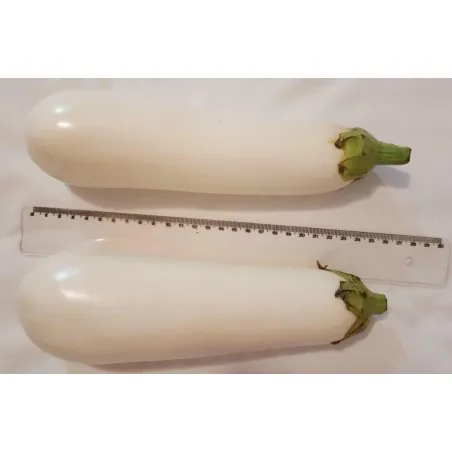 White Eggplant Seeds