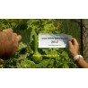 Price: €2.35 - Semillas de Lagenaria Siceraria - 