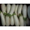 Price: €1.85 - White Eggplant Seeds - 