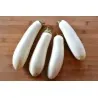 Weisse Aubergine Samen
