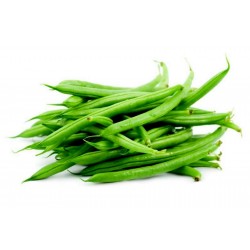 French Beans Seeds DUBBELE WITTE