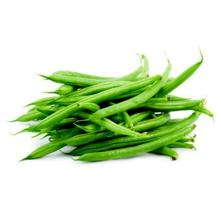 Price: €1.85 - French Beans Seeds DUBBELE WITTE -
