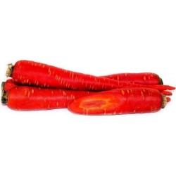 Carrot Seeds Atomic Red