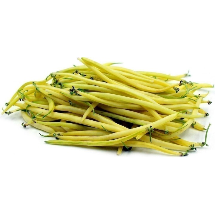 Berggold Early Dwarf French Bean Seed - 1.665