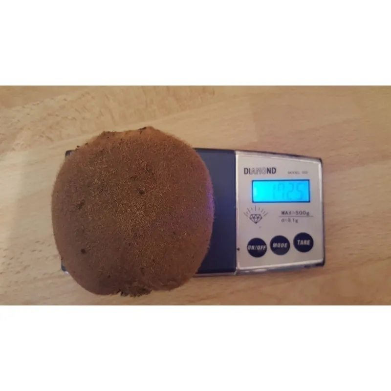 Sementes de quiuí, quivi ou kiwi GIGANTES
