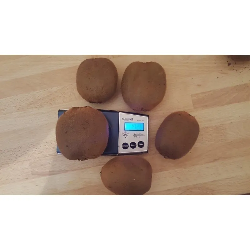 Sementes de quiuí, quivi ou kiwi GIGANTES