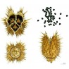 Price: €2.25 - Gemeine Stechapfel Samen - Weiße Stechapfel (Datura stramonium) - Seeds Gallery