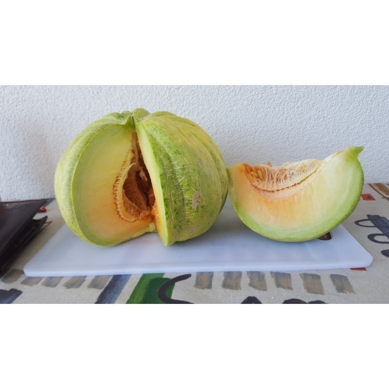 Price: €1.95 - Greece Melon - Green Banana Seeds - Seeds Gallery