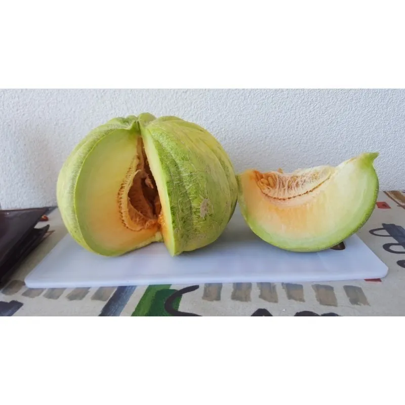 Seme Grcke Dinje ZELENA BANANA