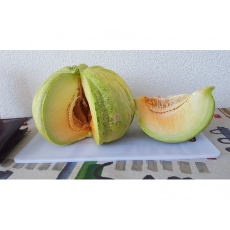 Price: €1.95 - Greece Melon - Green Banana Seeds - Seeds Gallery
