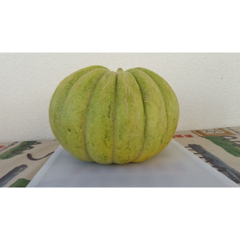 Price: €1.95 - Greece Melon - Green Banana Seeds - Seeds Gallery