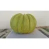 Graines de Grèce Melon VERT BANANA