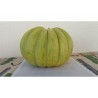 Price: €1.95 - Greece Melon - Green Banana Seeds - Seeds Gallery