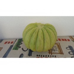 Grekland Melon Frö GRÖN BANAN