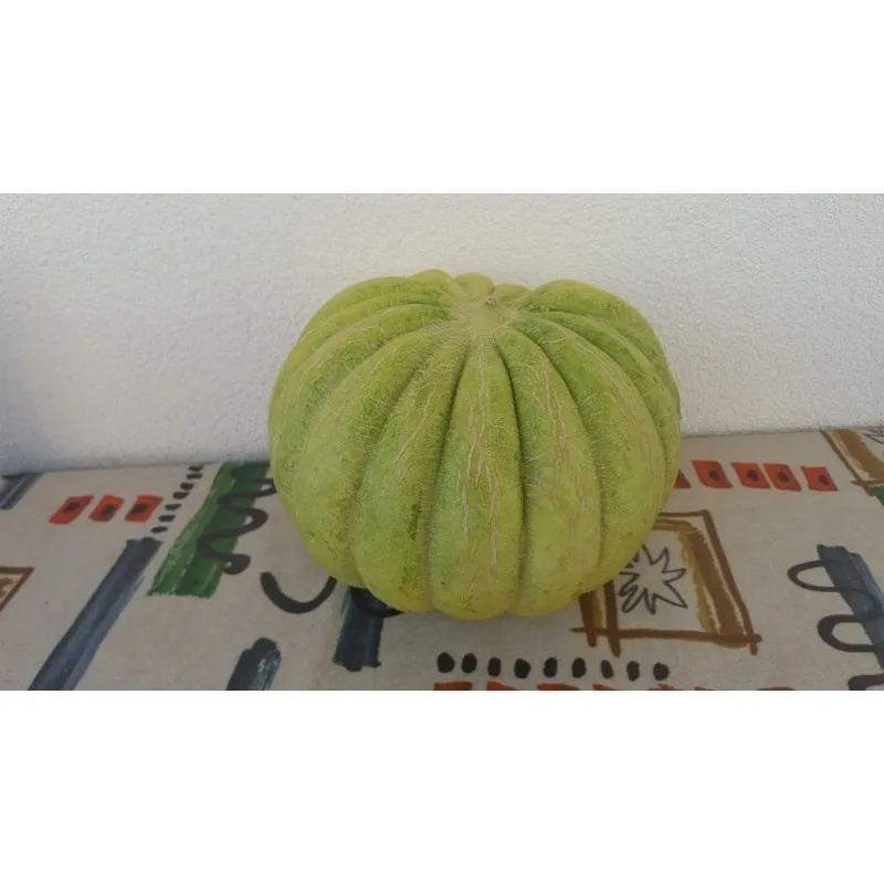 Graines de Grèce Melon VERT BANANA