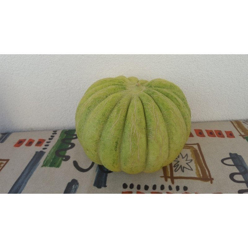 Price: €1.95 - Greece Melon - Green Banana Seeds - Seeds Gallery