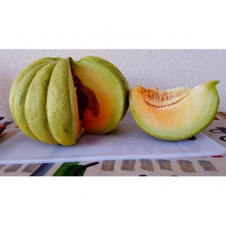 Price: €1.95 - Greece Melon - Green Banana Seeds - Seeds Gallery